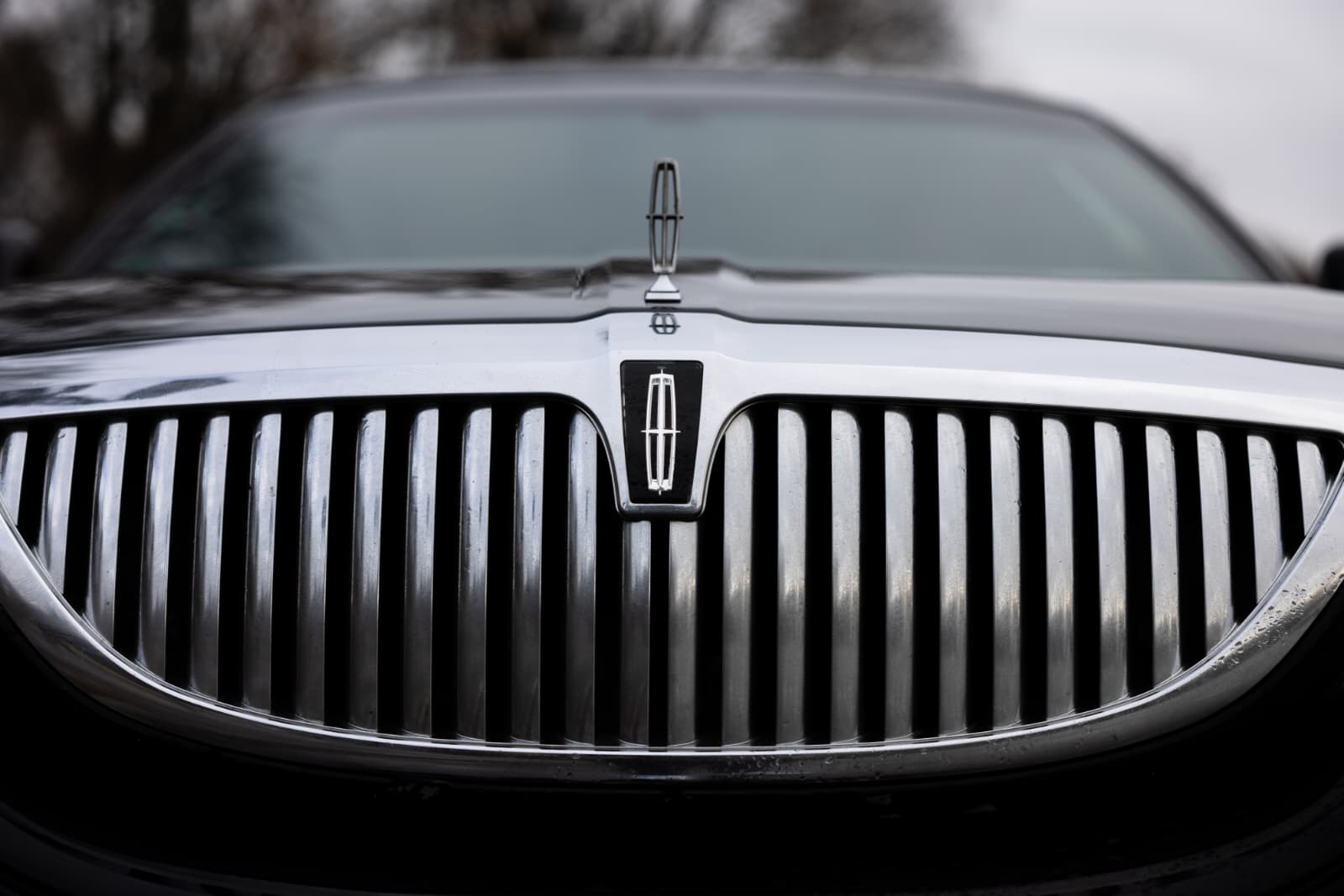 Limo Bild 1